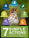 7 Simple Actions